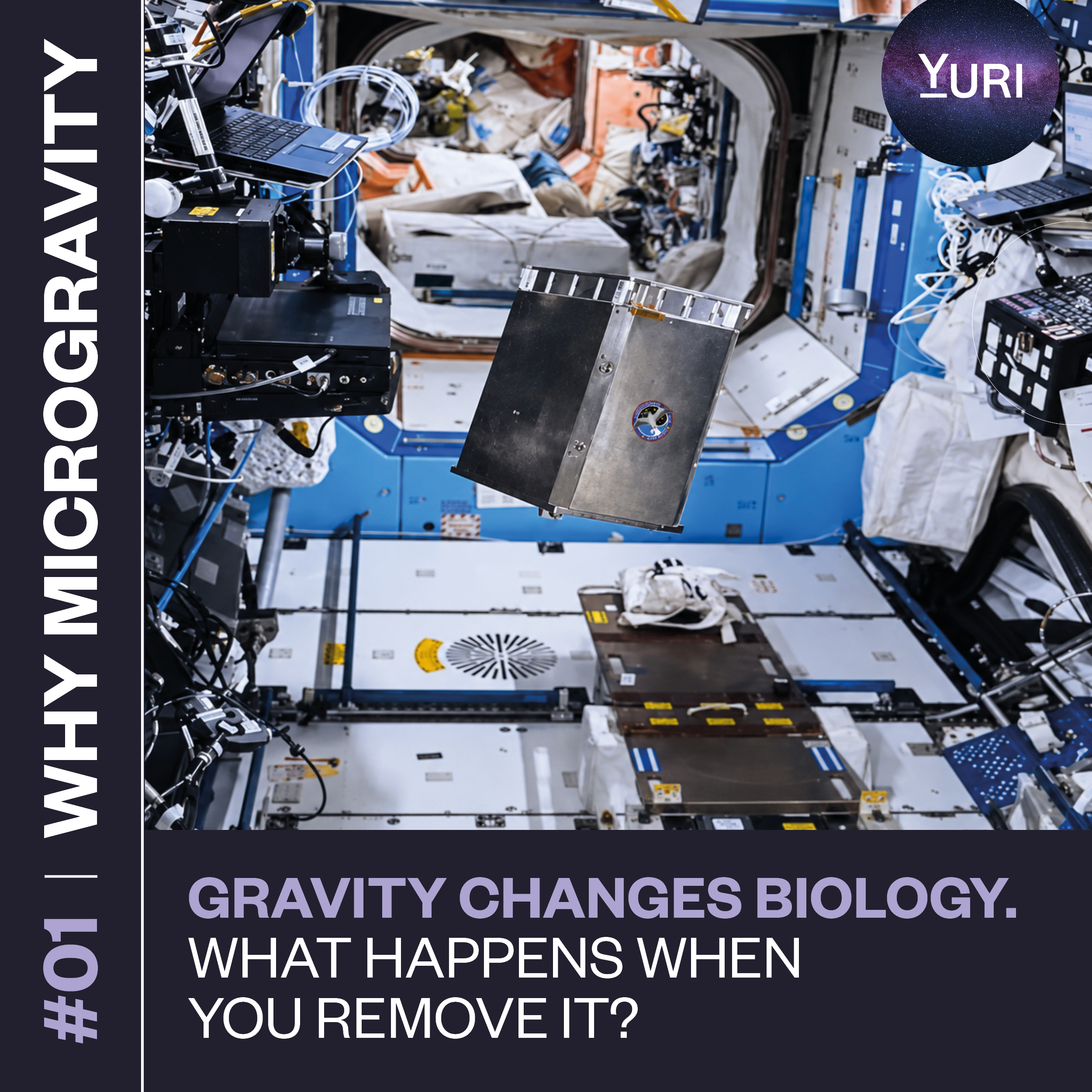 li_why-microgravity_01.jpg